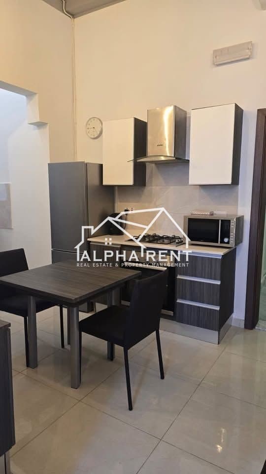 Residential Rent Apartments in Sliema - 4