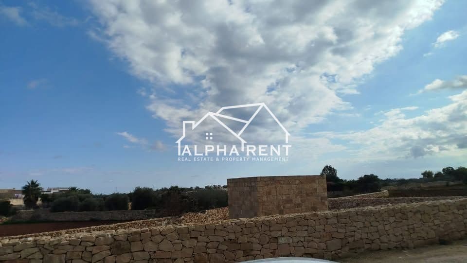 Residential Rent Apartments in Zurrieq - 3