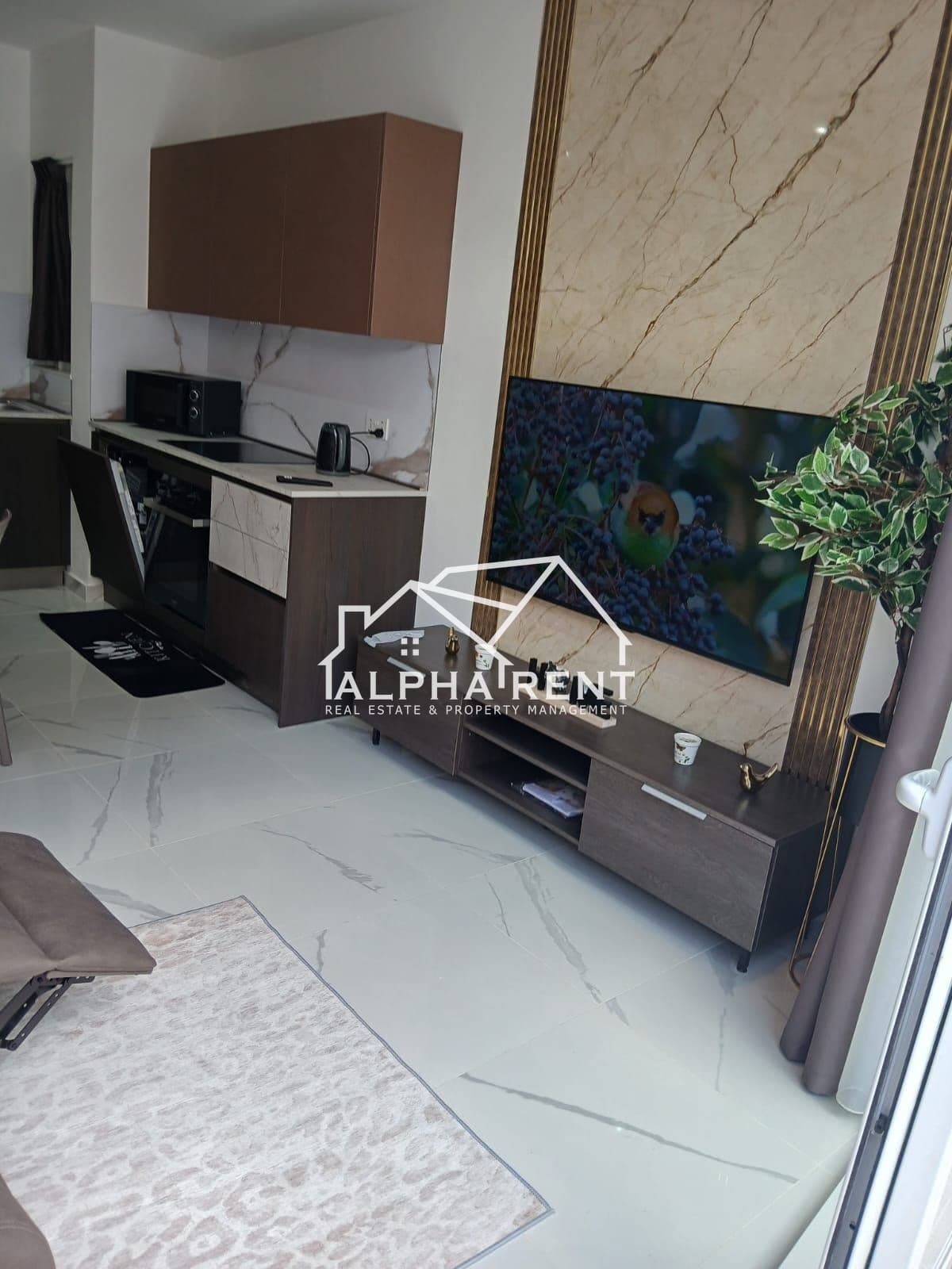 Residential Rent Penthouses in Gzira - 3