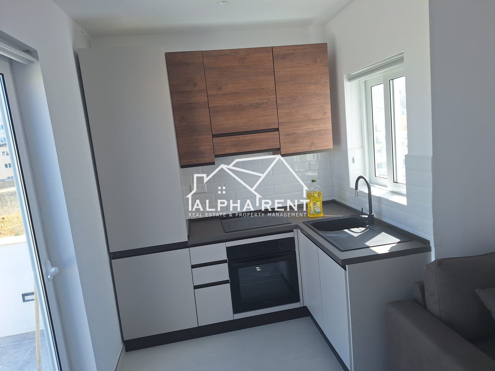 Residential Rent Apartments in Msida